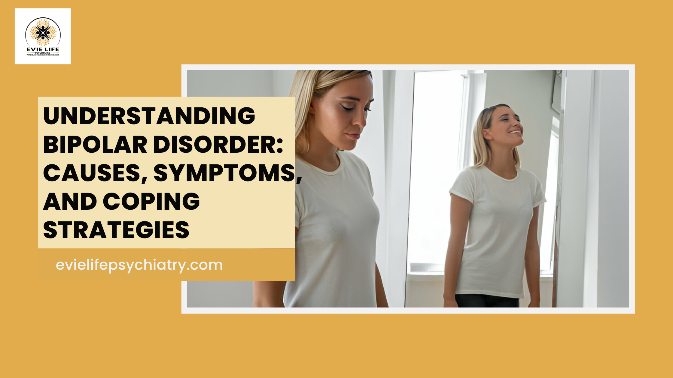 Bipolar disorder blog